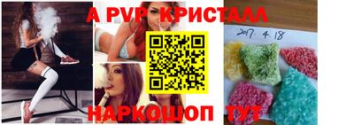 СК Краснознаменск